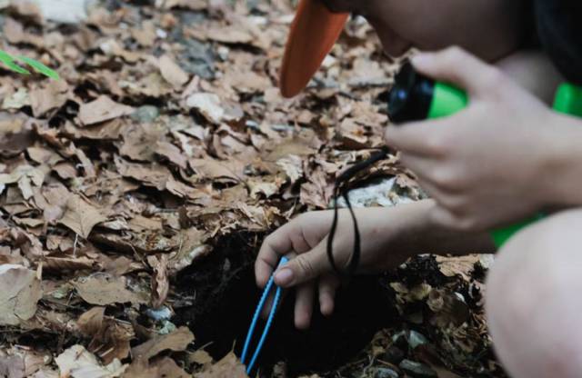 Kind spielt im Wald mit Naturmaterialien.