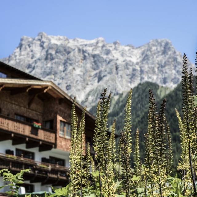 Familienhotel Tirolerhof in ruhiger Lage mit Ausblick auf die Tiroler Alpen.