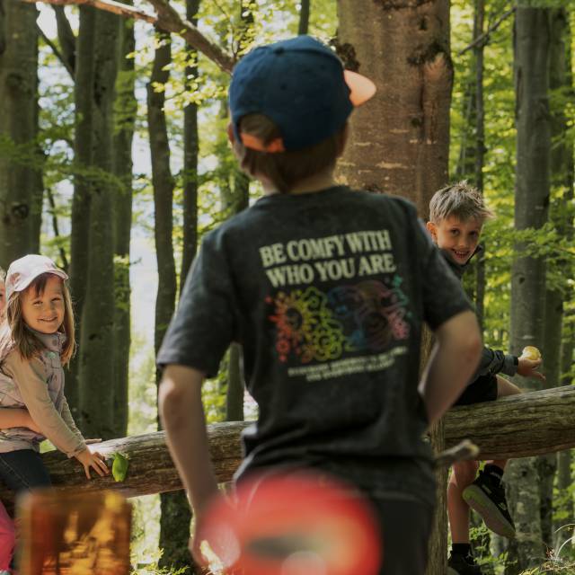 Kinder spielen gemeinsam im Wald auf einem Holzstamm.