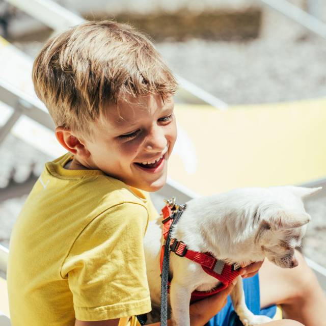 Smiling boy holding a small dog in his arms.