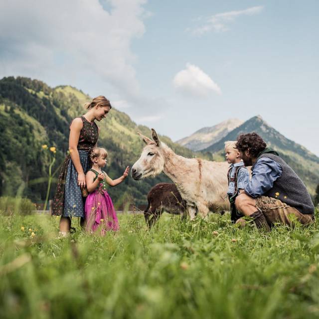 Eine Familie in traditioneller Tracht steht auf einer Wiese und streichelt einen Esel.
