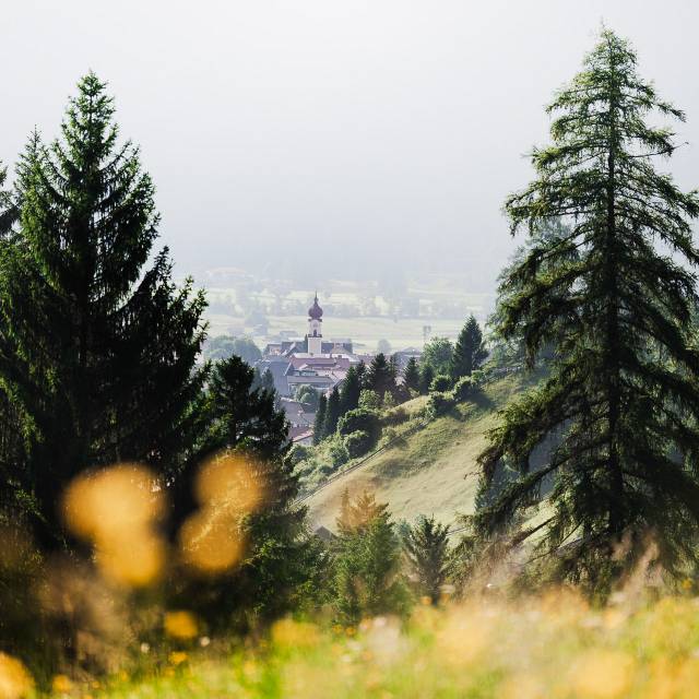 Blick vom Berg auf Ehrwald