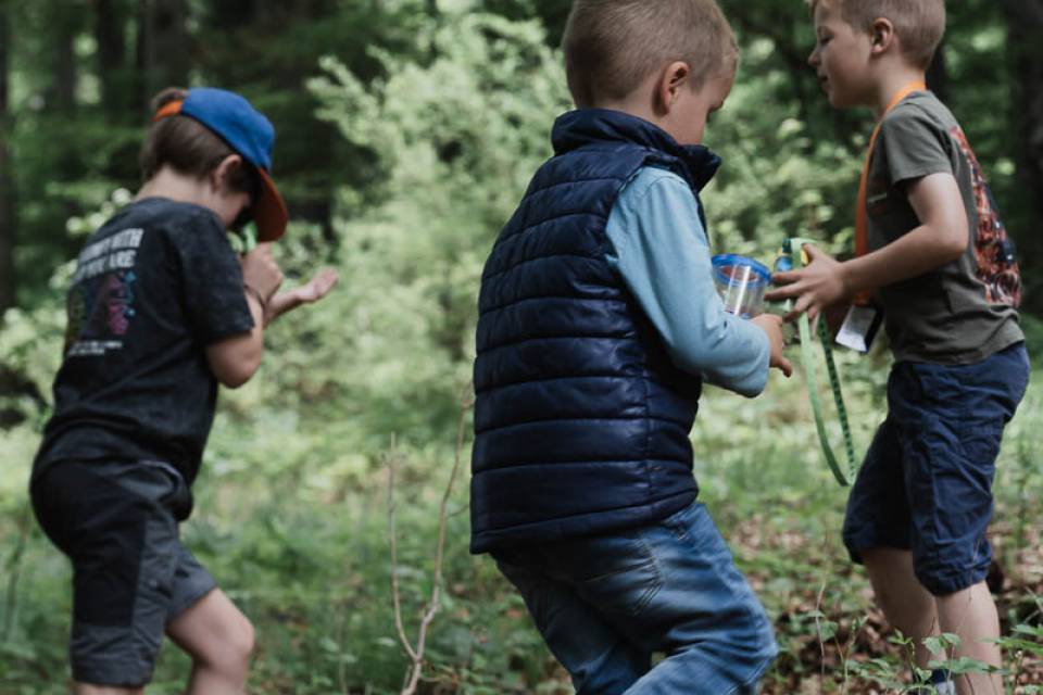 Kinder auf einer Entdeckungstour im Wald.