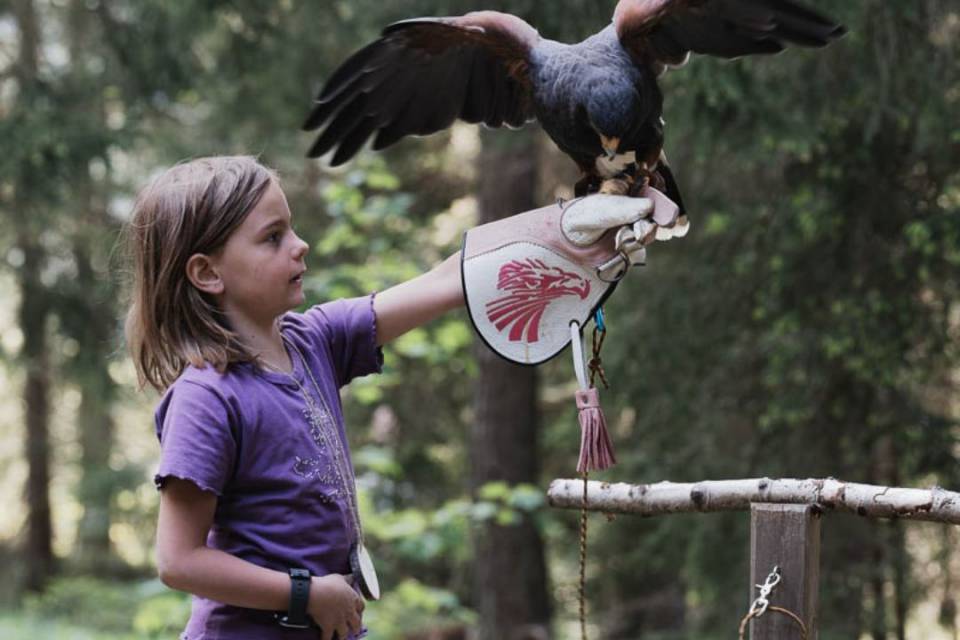 Kind hält Greifvogel auf dem Arm im Wald.
