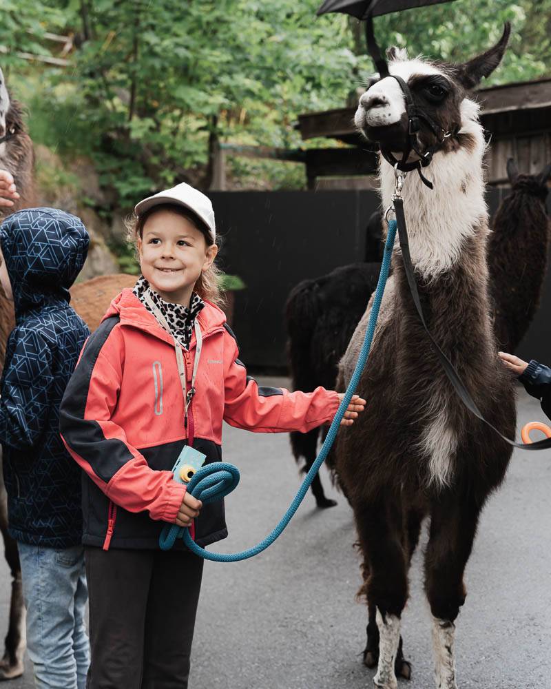 Wandern mit Kindern in Ehrwald Tirolerhof – Kleine Abenteuer in der Zugspitz Arena Symbolfoto