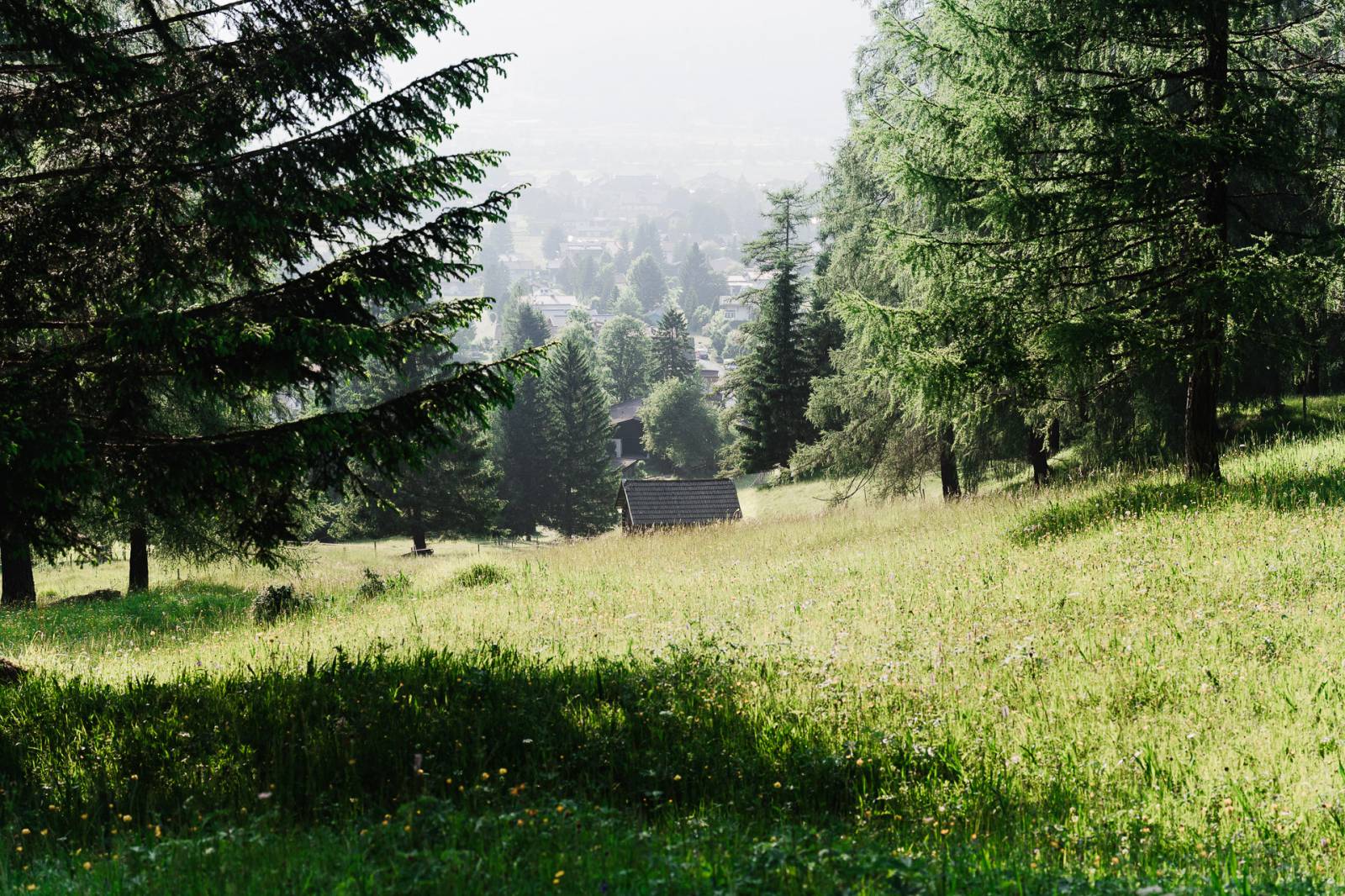 Aktivmeile in Tirol: Vom Panoramaweg ins Moos Symbolfoto