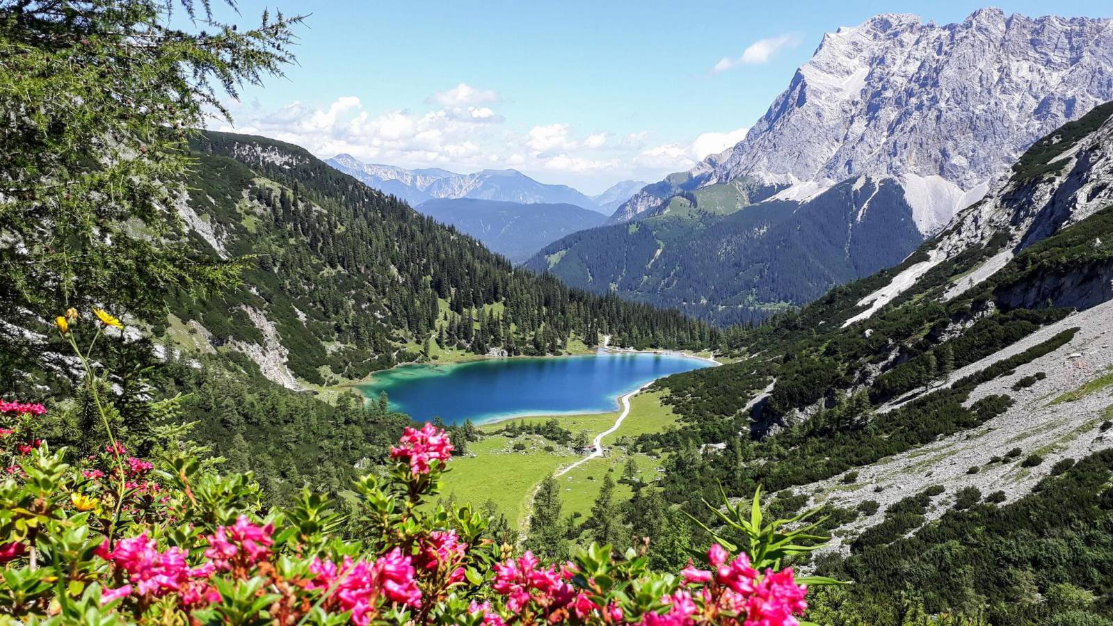 🌿 Top 3 Familienwanderungen in Ehrwald Symbolfoto