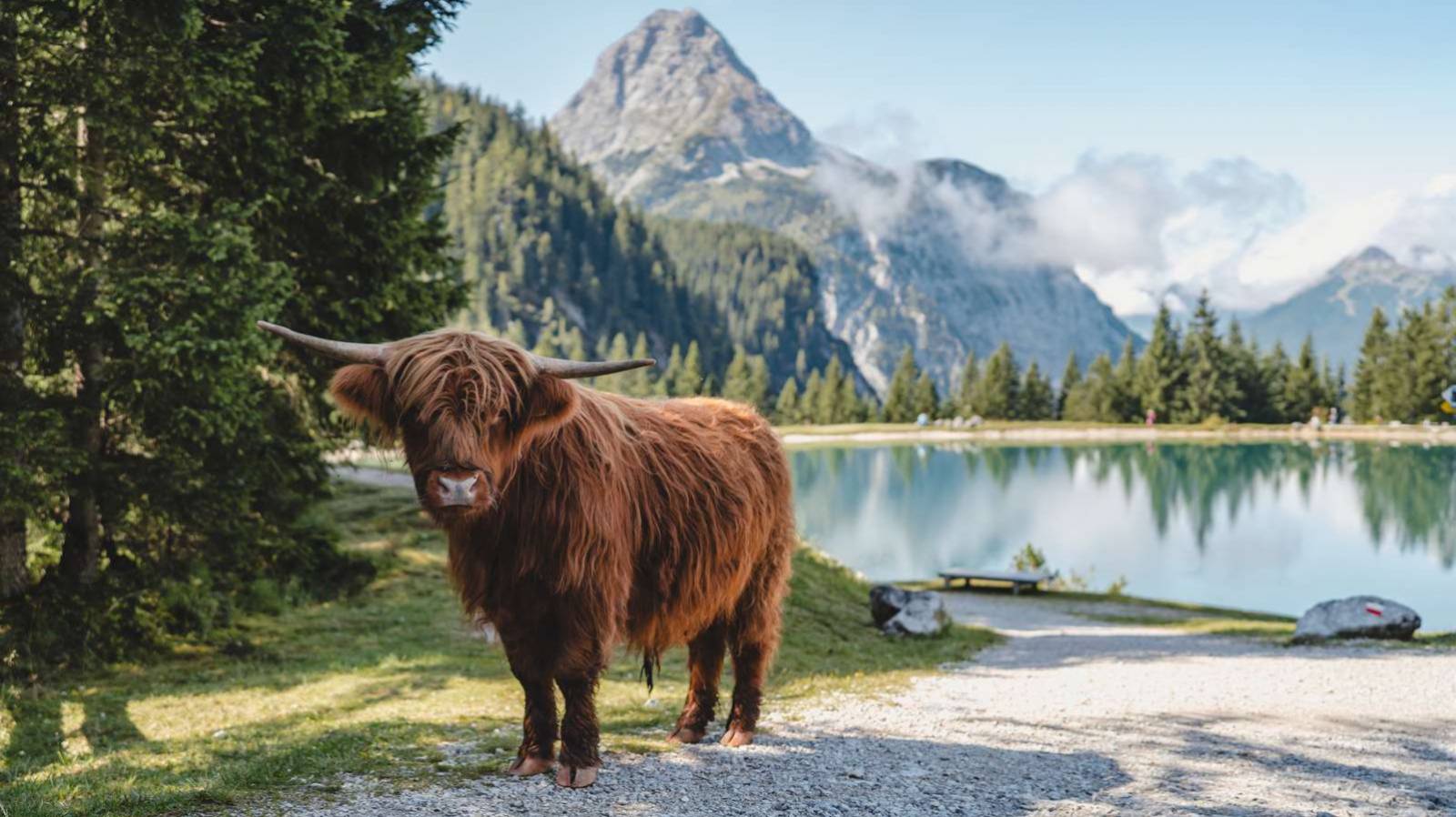 Coolcation in der Tiroler Zugspitz Arena –  unvergessliche Urlaubstage mit dem Z-Ticket Symbolfoto