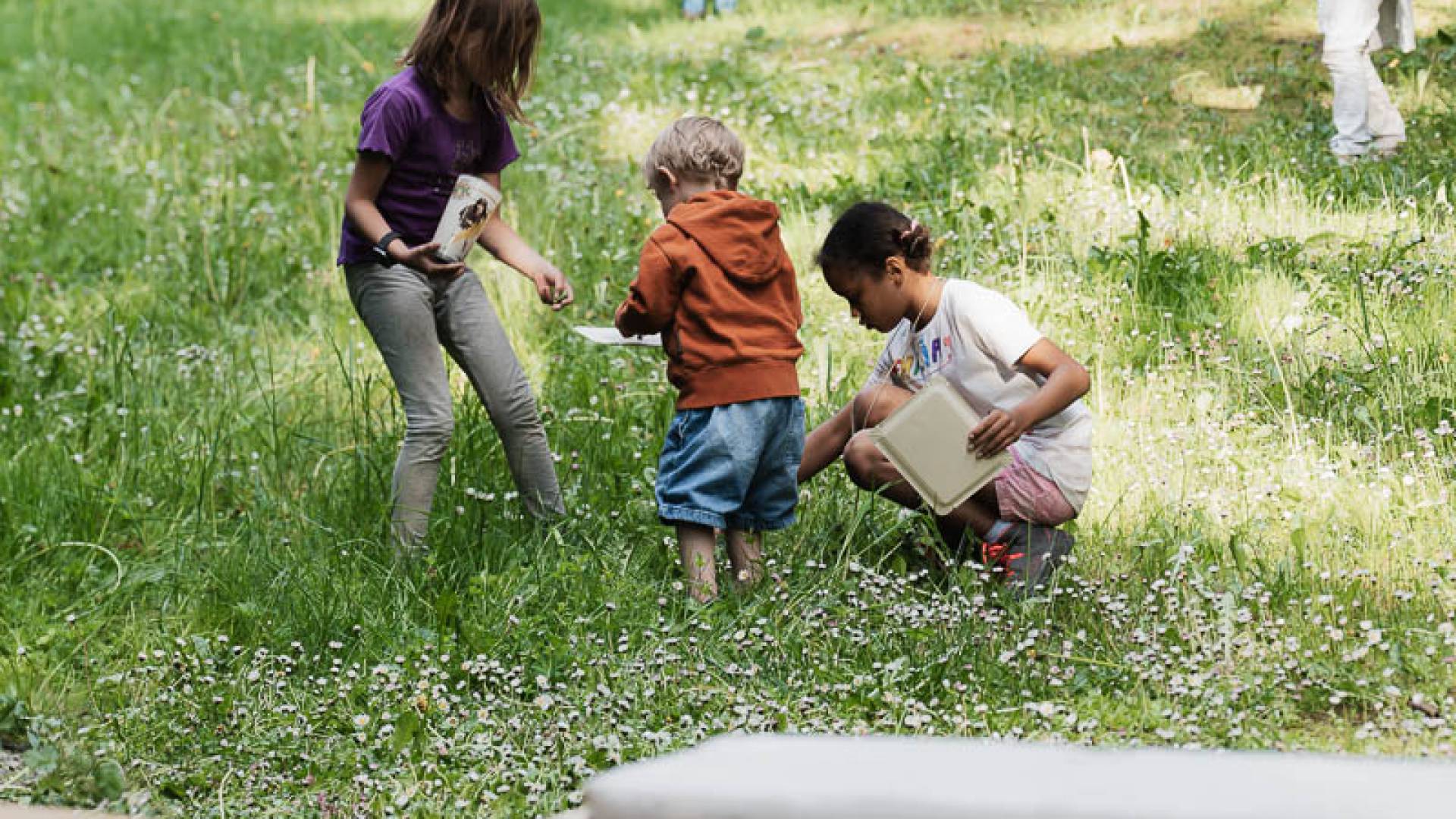 Kinder auf Entdeckungstour in der Natur.