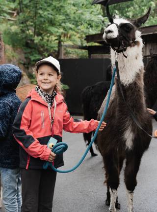 3/3 Little Adventures – tierische Abenteuer Symbolfoto