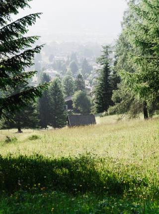 Aktivmeile in Tirol: Vom Panoramaweg ins Moos Symbolfoto